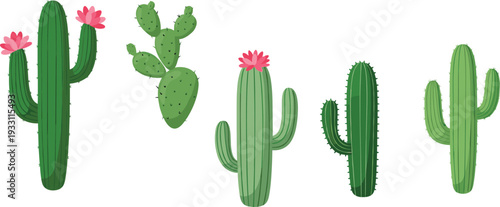Green cactus plants collection with flowers desert succulent botanical vector illustration set