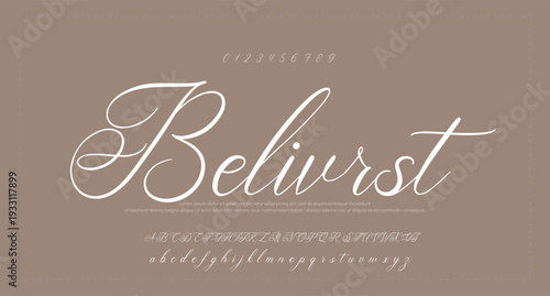 handwritten isolated on white background. Handwritten, signature, calligraphy, monoline style.  