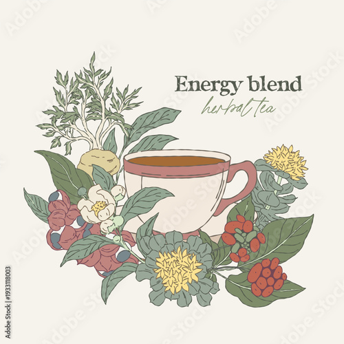 Hand drawn wreath with energy tea medicinal plants