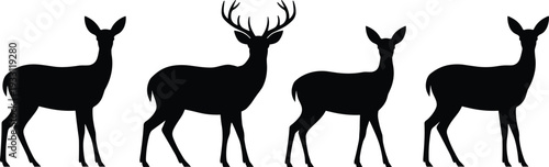 Deer silhouette illustration featuring male with antlers and female deer standing side by side, perfect for wildlife design, nature concepts, hunting themes, and educational projects.