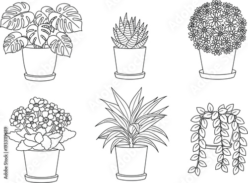 Hand drawn indoor potted plants outline collection botanical houseplant line art vector illustration set