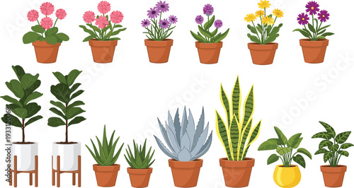 Collection of indoor potted plants and flowers in decorative pots flat vector illustration set