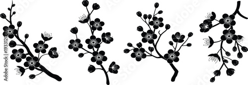 Black cherry blossom flower branch silhouettes and floral botanical vector set for spring nature design element