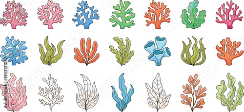 Colorful Underwater Coral and Seaweed Vector Set Featuring Various Marine Plants and Reef Elements for Aquarium and Ocean Life Design