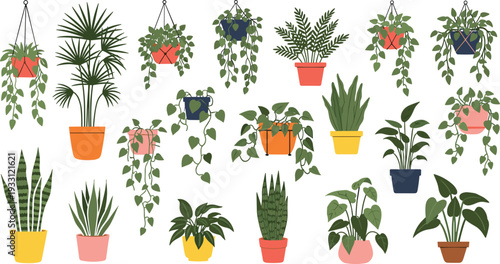Indoor hanging and potted houseplants collection with tropical greenery home decor illustrations