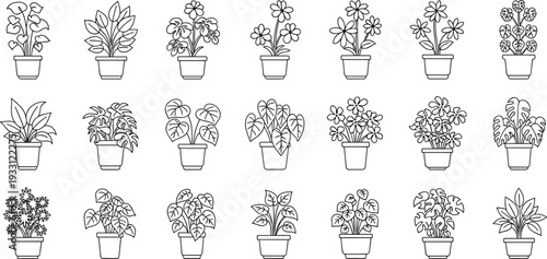 Potted plant outline icon collection with indoor houseplants and botanical line illustrations