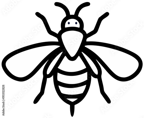 bee on white background