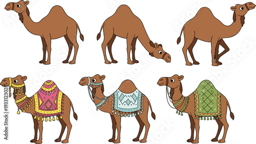 Graceful Camel Vector Set Featuring Desert Camels in Various Poses and Decorated Camels with Traditional Ornaments for Middle Eastern Theme Designs