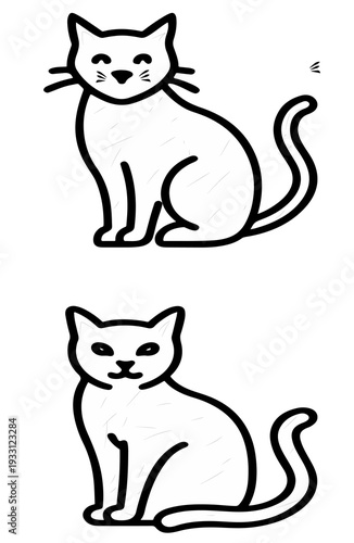 black and white cat