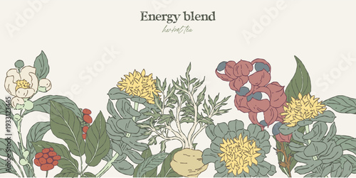 Hand drawn seamless border with energy herbs