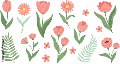 Hand Drawn Floral Vector Set Featuring Pink Tulips, Daisies, and Green Fern Leaves in Soft Pastel Colors for Spring and Wedding Designs