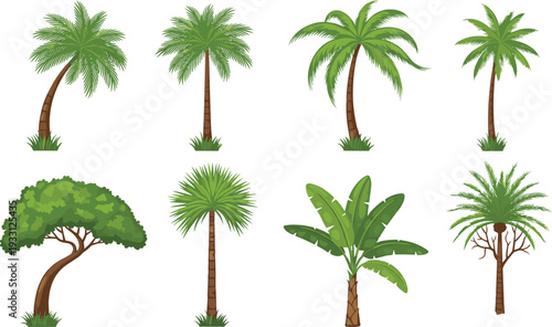 Tropical Palm Tree Vector Set Featuring Various Species of Exotic Trees and Banana Plants Isolated on White Background for Summer Vacation Design