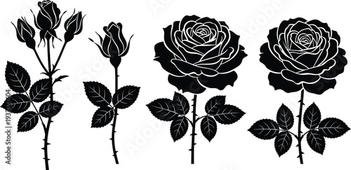 Successful professional business entrepreneur working on a modern laptop in a bright sunlit office interior with creative workspace and copy space for text