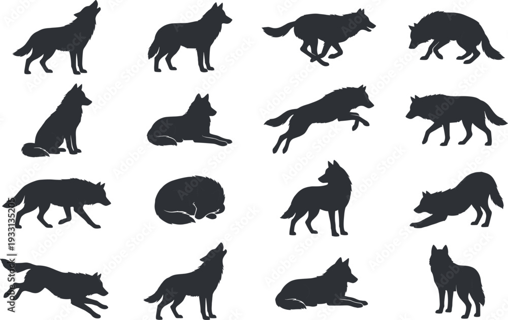 Fototapeta premium Collection of 16 wolf silhouettes in varied poses including standing, sitting, lying, walking, running, jumping, and stretching for wildlife illustration, behavior study, and creative design projects