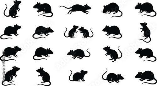 Collection of 20 rat and mouse silhouettes in varied poses including standing, crouching, running, and interacting for wildlife illustration, behavior study, and creative design projects