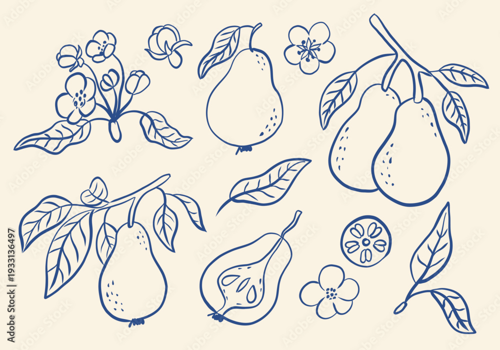 Obraz premium Hand drawn retro set with pears. Set sketches with whole pears, cut in half, branch and flowers.