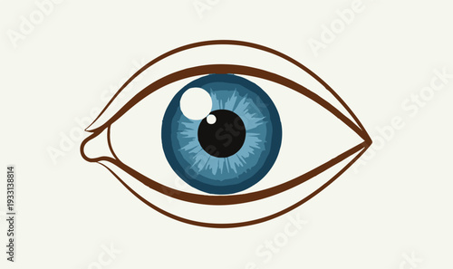 Realistic Blue Human Eye Illustration - Professional Vector Art for Ophthalmology, Eye Care Clinics, Contact Lens Branding  Optometry Graphics