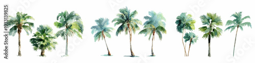 Hand painted watercolor palm trees isolated on a white background, creating a tropical and natural motif for design projects, emphasizing exotic locations and organic beauty