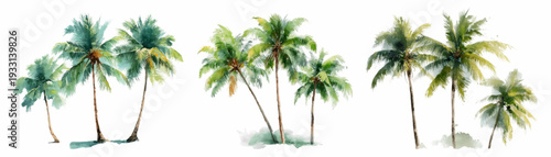 Hand painted watercolor palm trees illustration collection, creating a vibrant tropical island summer design element for travel, vacation, and natural themes