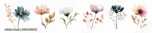 Hand painted watercolor floral set illustrating soft colored wildflowers and delicate botanical elements, perfect for design projects needing natural aesthetic illustrations
