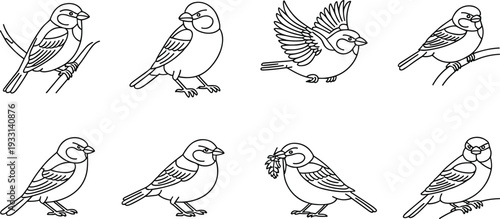 Sparrow bird icon set with small songbird perched flying and holding branch line art vector illustration collection