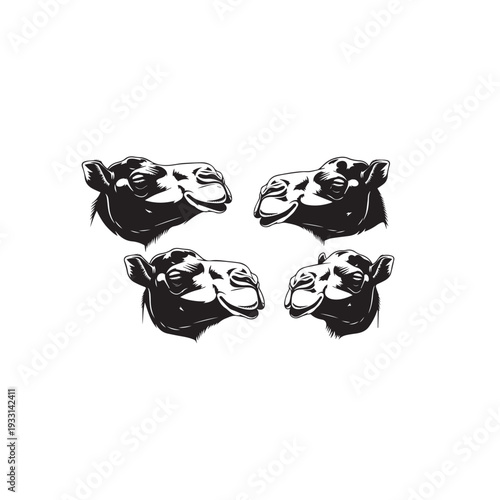 Camel Face Silhouette Set Black and White Vector Illustration Camel Head Silhouette Collection Minimal Black White Design Camel Face Outline Silhouette Pack Monochrome Vector Art