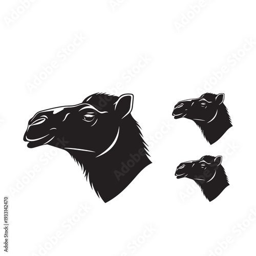 Camel Face Silhouette Set Black and White Vector Illustration Camel Head Silhouette Collection Minimal Black White Design Camel Face Outline Silhouette Pack Monochrome Vector Art