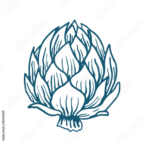 Hand drawn vector sketch Illustration of artichoke.