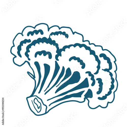 Hand drawn sketch Broccoli Illustration.