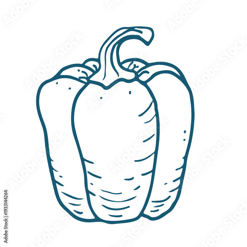 Handdrawn vector sketch Illustration of Bell pepper.