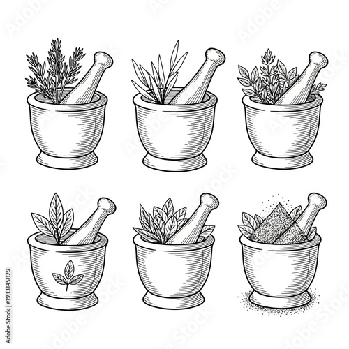 Six mortar and pestle illustrations with various herbs