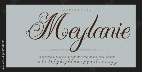 Script Brush Font Type Font lettering handwritten. vector illustration