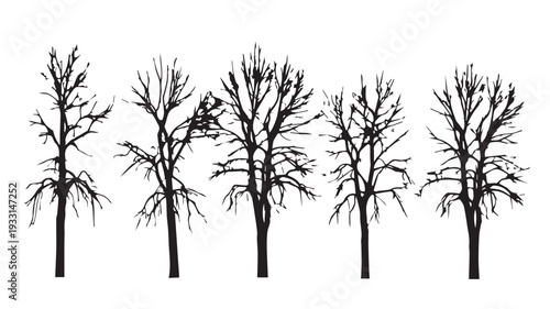 Collection of Bare Winter Tree Silhouettes - Graphic Vector Elements