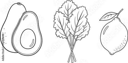 Simple line drawing of avocado, kale, and lemon on white background