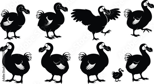 Black and White Dodo Bird Silhouette Vector Collection Featuring Extinct Mauritian Flightless Birds in Various Poses Including Standing Walking Running and Small Baby Dodo