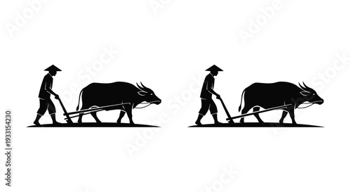 Two farmers plowing fields with water buffalo a striking silhouette