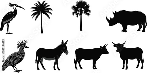 Set of African safari animal silhouettes and tropical palm trees isolated on white including rhino donkey cow bull and exotic birds for nature design