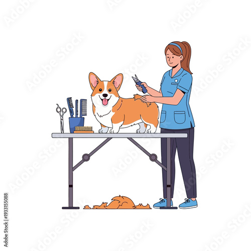 Happy Corgi Dog Grooming Session on Table with Tools and Shed Fur