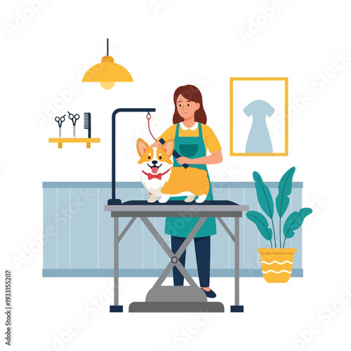 Professional dog grooming: corgi getting a haircut at a salon, happy pet owner