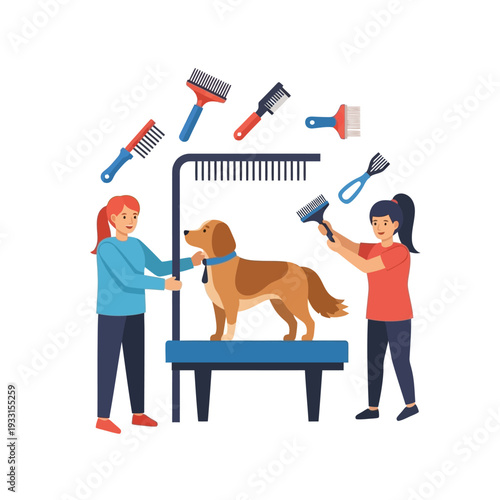 Professional Dog Grooming: Stylists Grooming Golden Retriever on Table with Tools