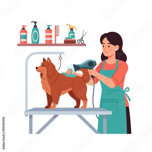 Professional groomer drying a fluffy brown dog on a grooming table with a hairdryer