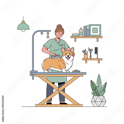 Groomer brushing happy corgi dog on grooming table in salon, pet care concept