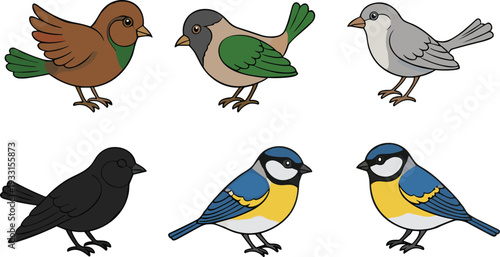 Cute Cartoon Songbirds Collection in Flat Design Style Isolated on White Background Vector Illustration Set