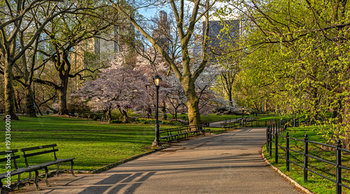 Central Park in spring, in the early morning