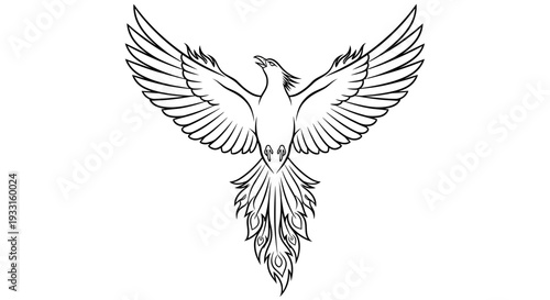 bird in flight, phoenix rising