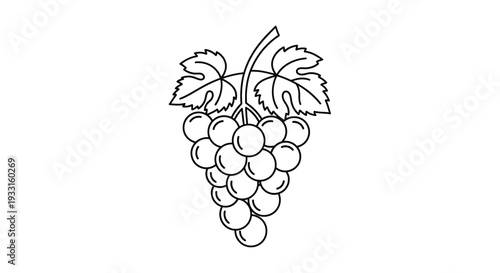 black and white line drawing of a bunch of grapes