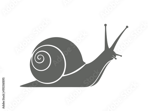A detailed illustration of a snail with a spiral shell and antennae Vector