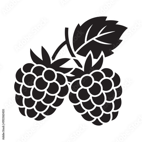 Black and white illustration of two raspberries with leaves and stems