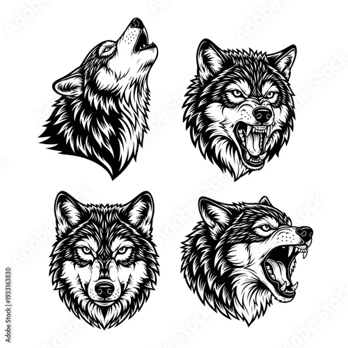 Four wolf head illustrations in different expressions