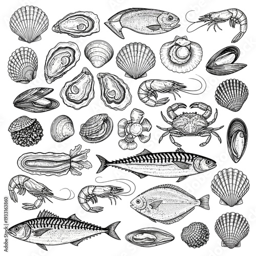 Collection of various seafood and shellfish